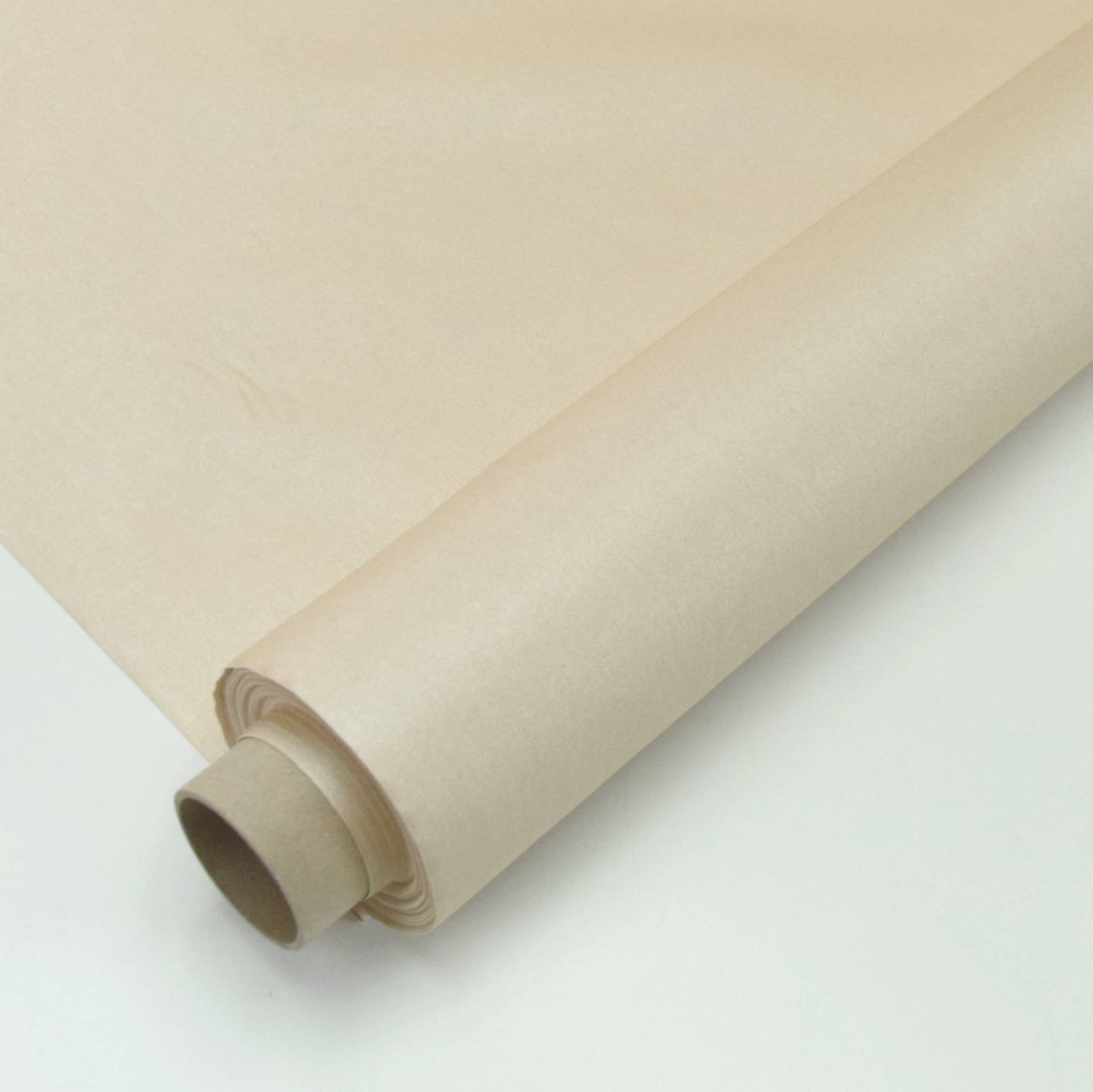 Beschichtete Baumwolle uni, hellbeige von Stoffe Hemmers