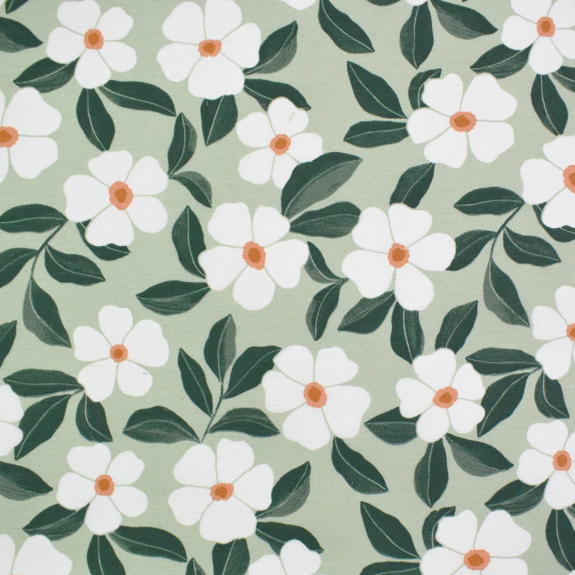 Beschichteter Dekostoff Ottoman Blumen, hellgrün von Stoffe Hemmers