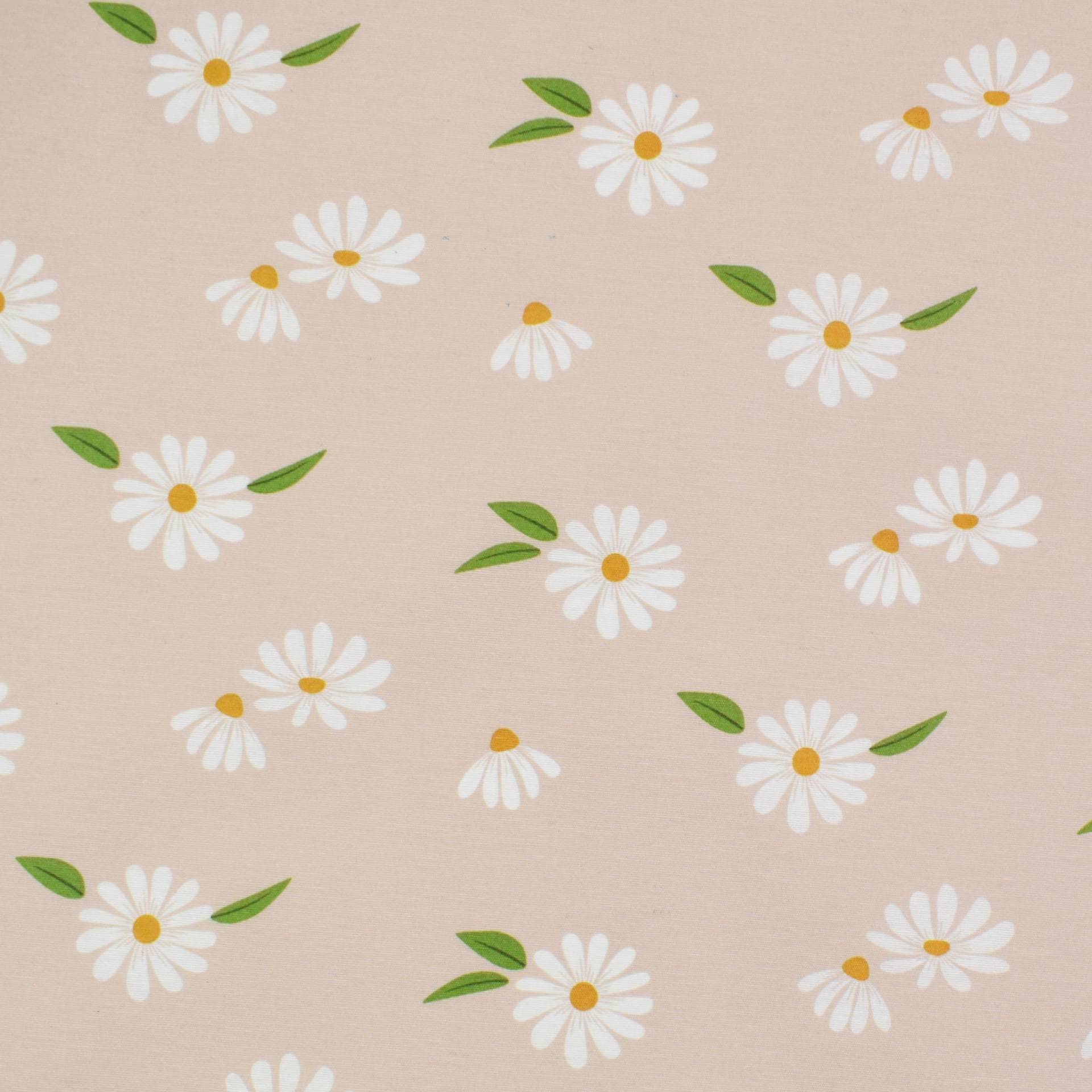 Beschichteter Dekostoff Ottoman Daisys, beige von Stoffe Hemmers