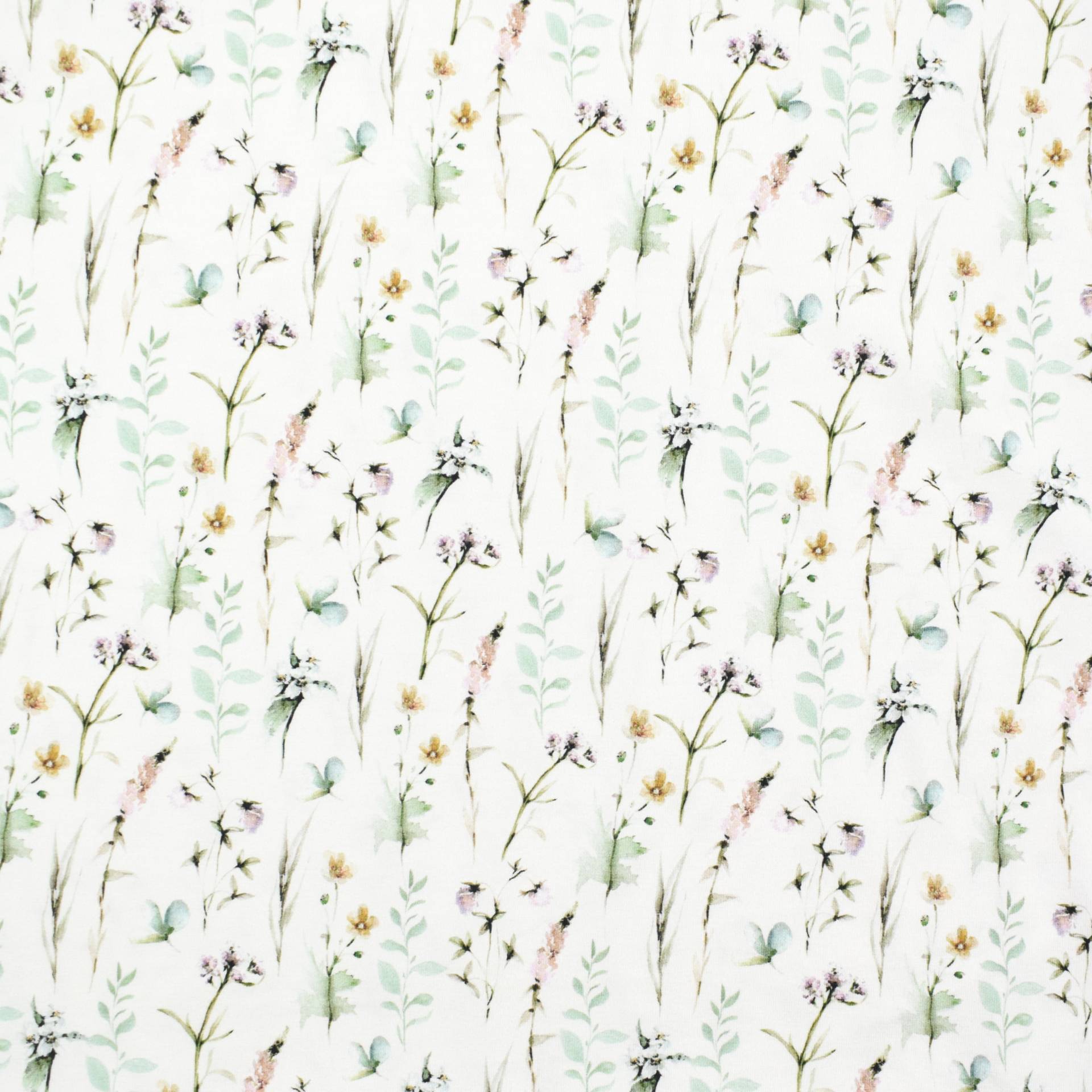 Bio Baumwolljersey Wild Flowers, wollweiß von Stoffe Hemmers
