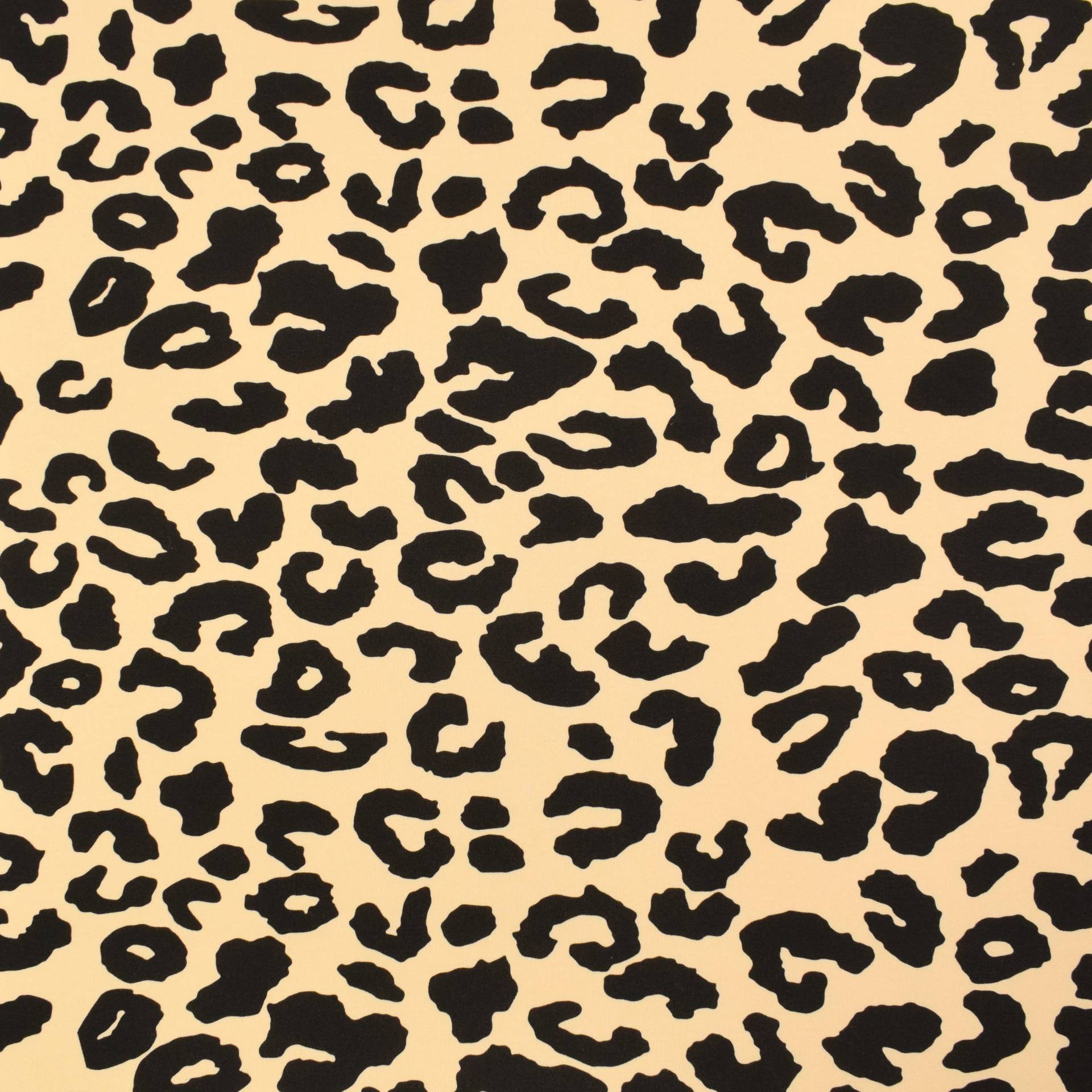 Bio- Wintersweat Leopard, schwarz Bio- Wintersweat Leopard, schwarz von Stoffe Hemmers