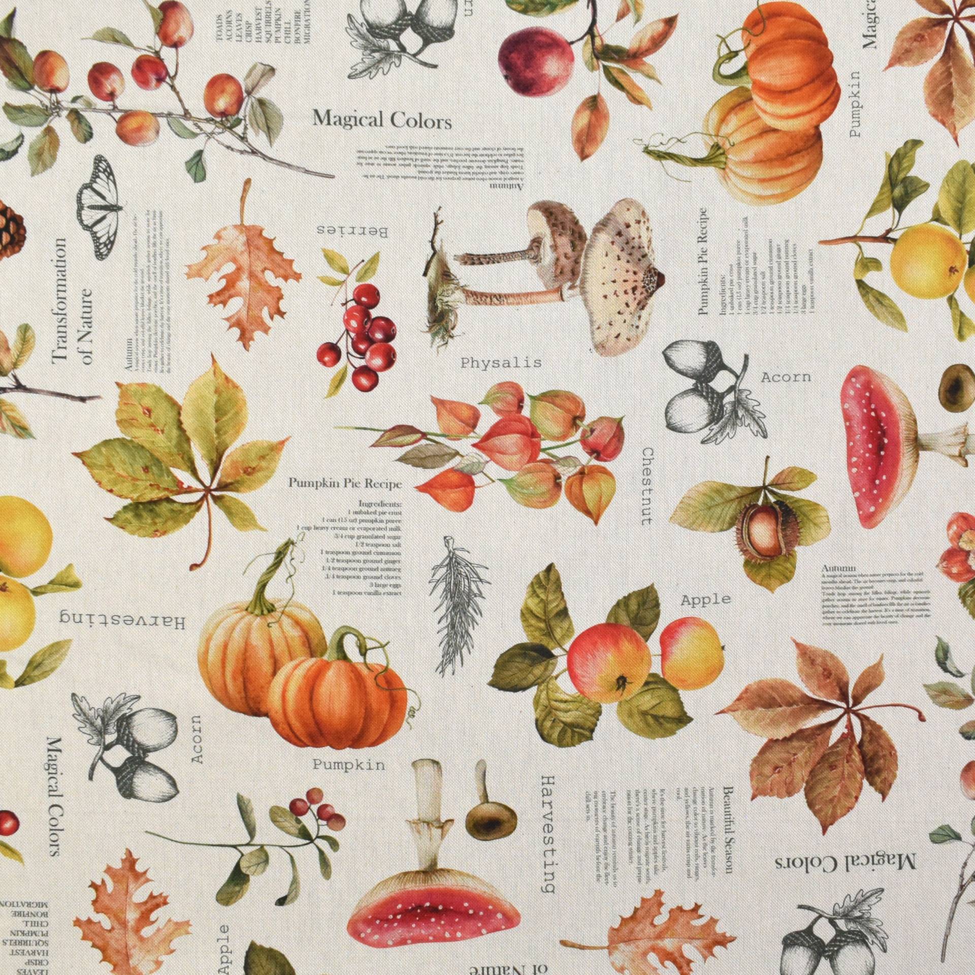 Dekostoff Halbpanama Autumn Season von Stoffe Hemmers