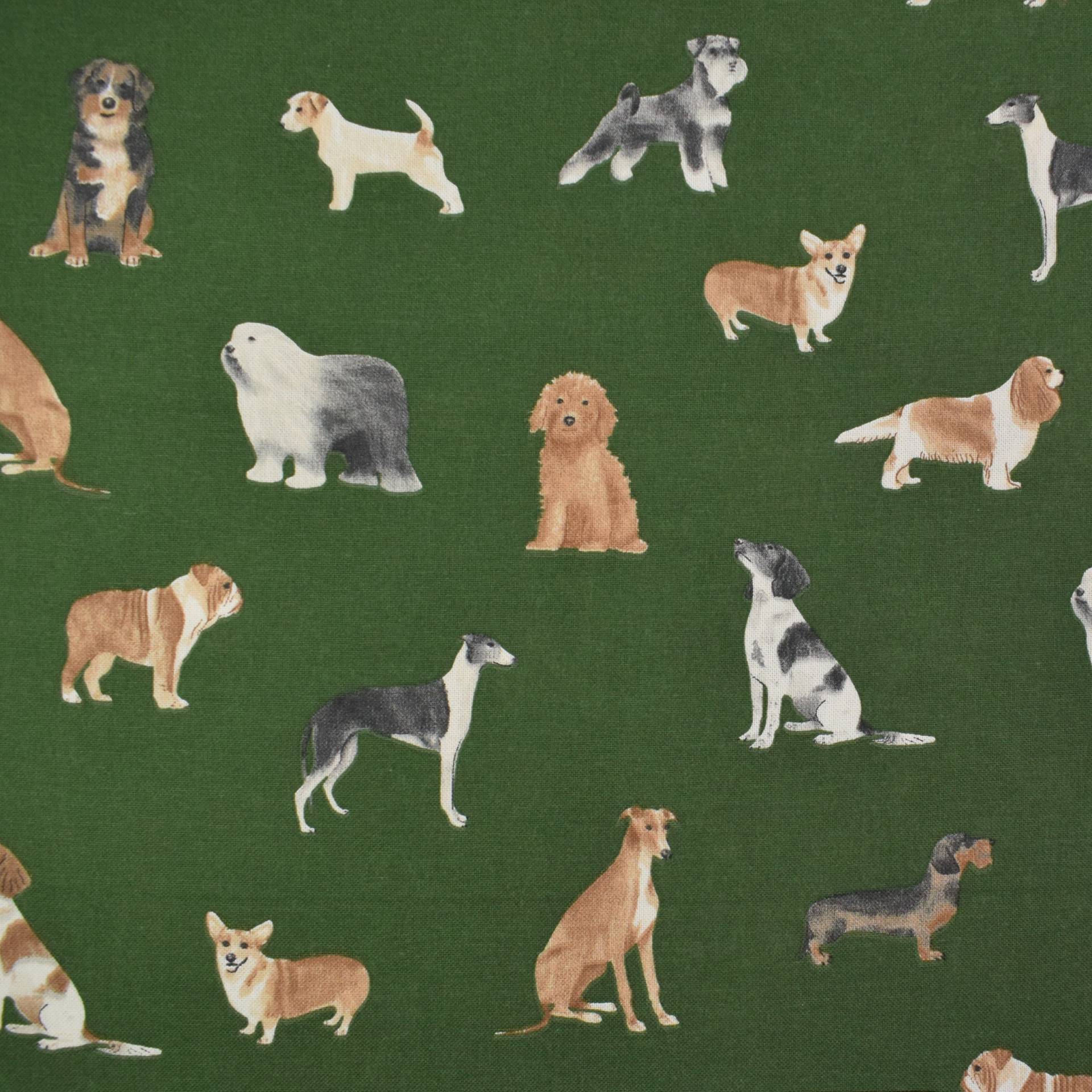 Dekostoff Halbpanama Dog Breed Mix, grün von Stoffe Hemmers