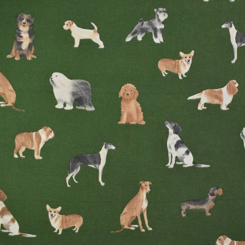 Dekostoff Halbpanama Dog Breed Mix, grün Dekostoff Halbpanama Dog Breed Mix, grün von Stoffe Hemmers