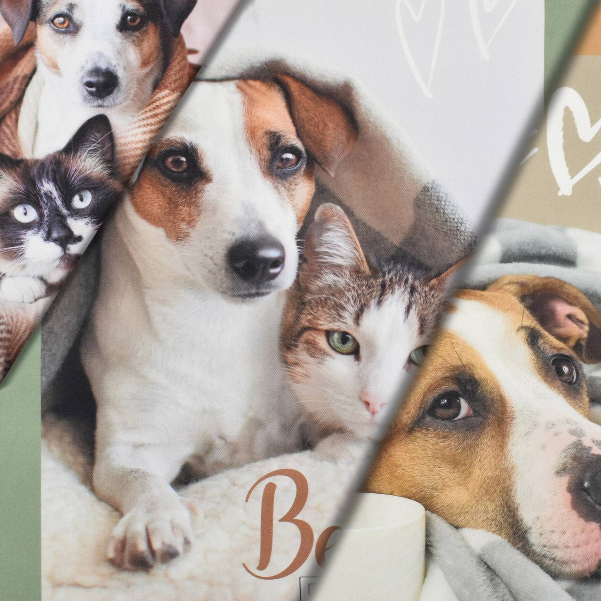 Dekostoff Panel Serge Best Friends, 160 x 70 cm Dekostoff Panel Serge Best Friends, 160 x 70 cm von Stoffe Hemmers
