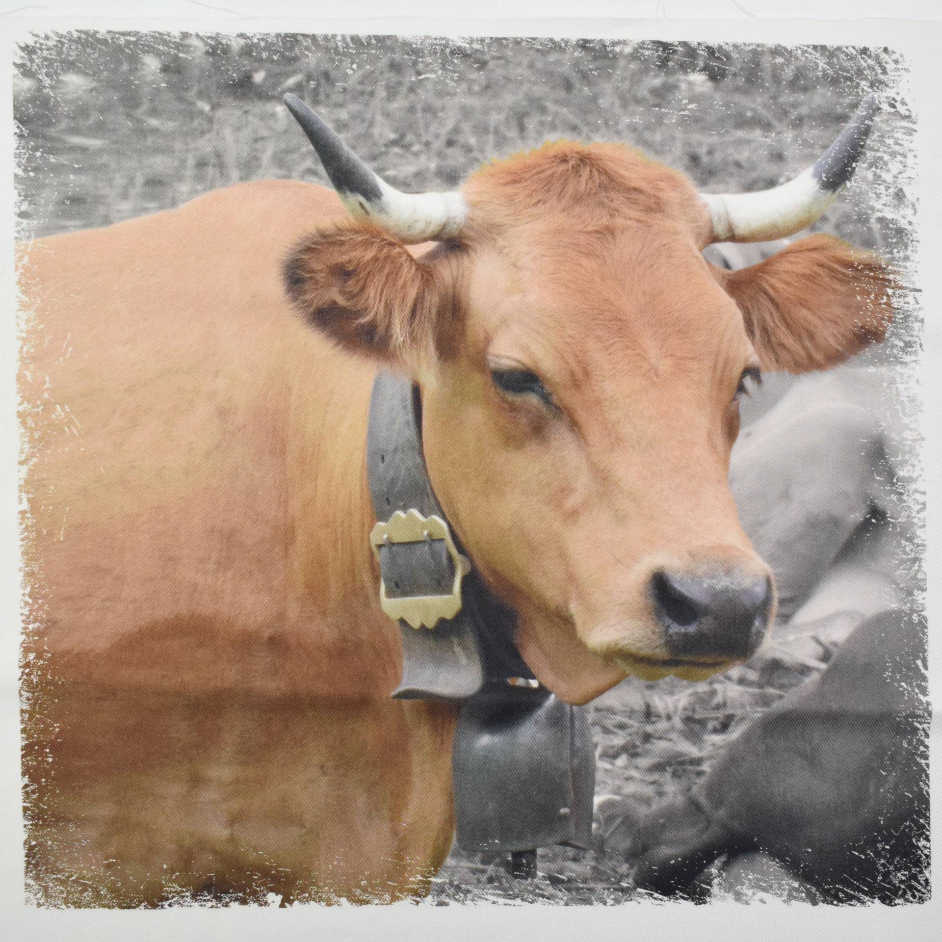 Dekostoff Panel Serge Kuh, 50 x 50 cm von Stoffe Hemmers