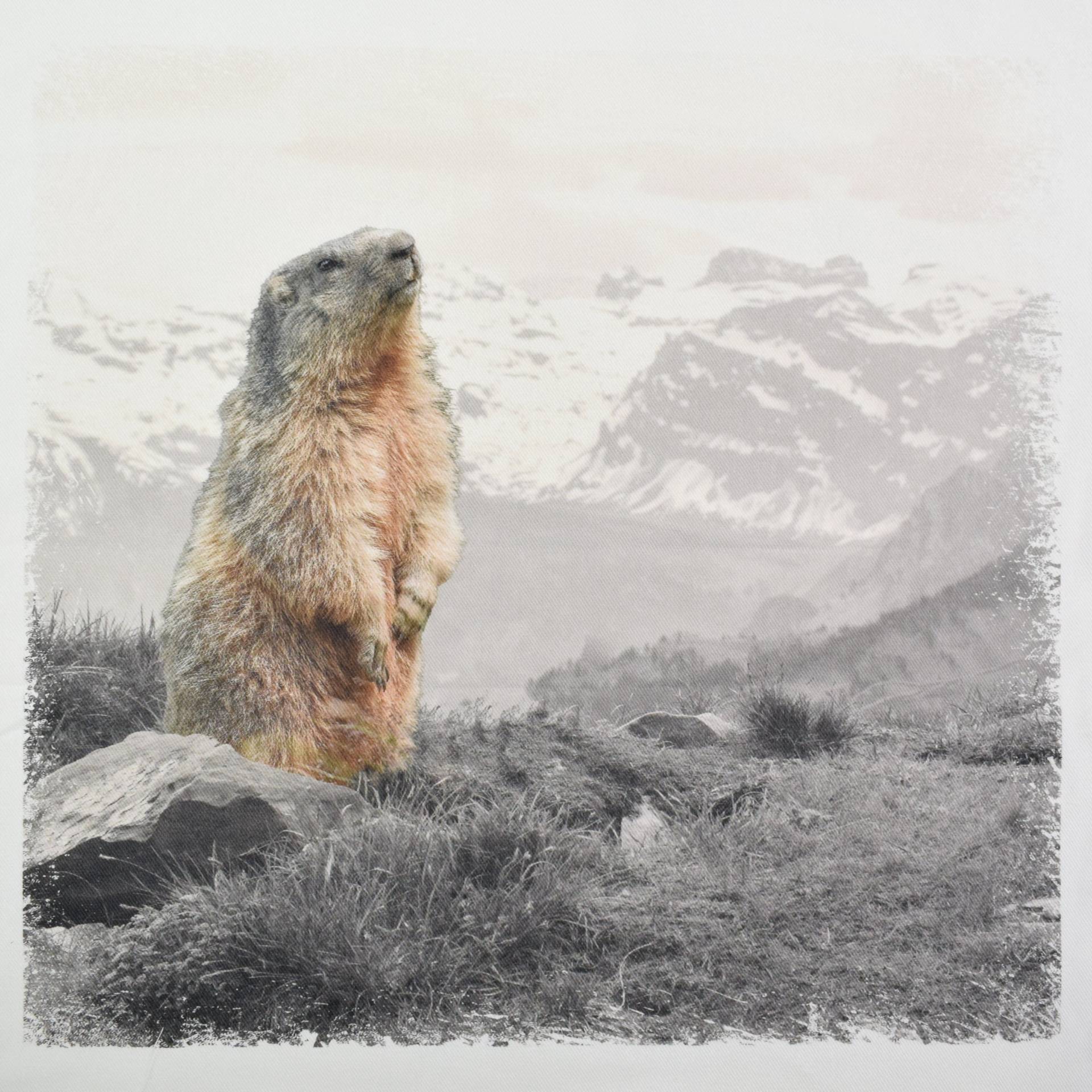 Dekostoff Panel Serge Murmeltier, 50 x 50 cm von Stoffe Hemmers