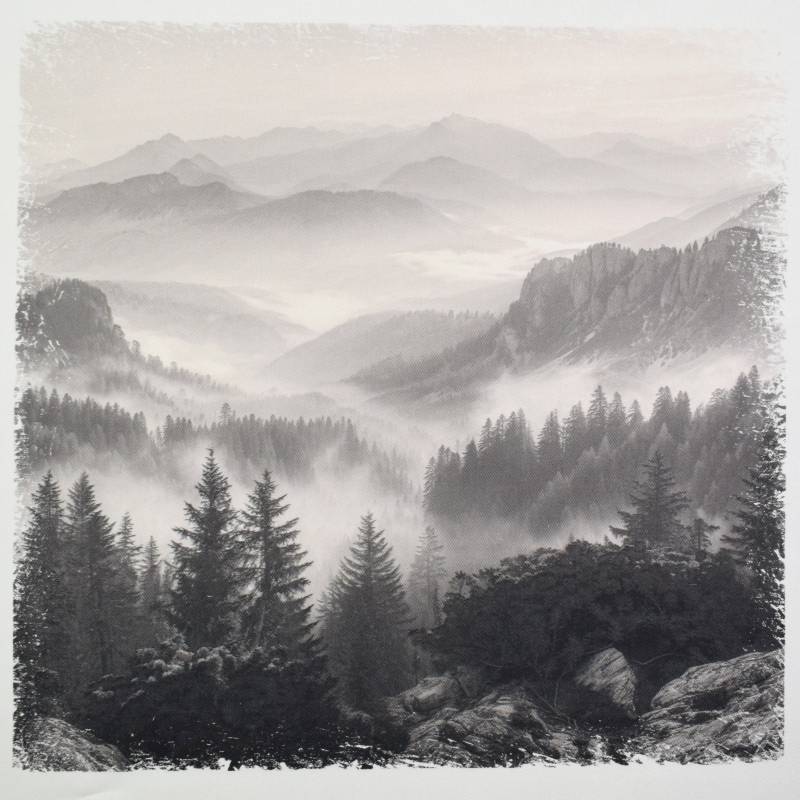 Dekostoff Panel Serge Naturpanorama, 50 x 50 cm von Stoffe Hemmers