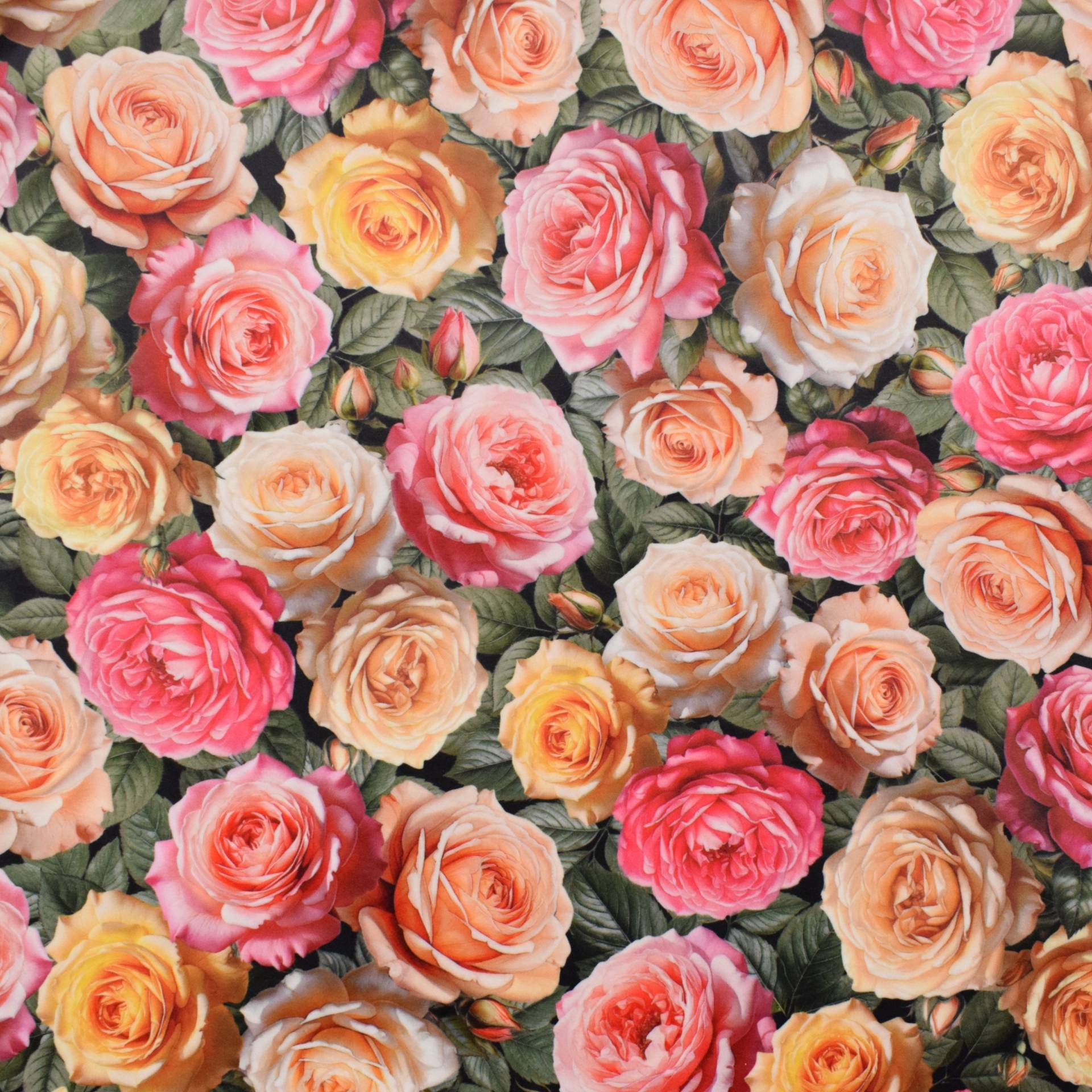 Dekostoff Samt Romantic Rose, multicolor Dekostoff Samt Romantic Rose, multicolor von Stoffe Hemmers
