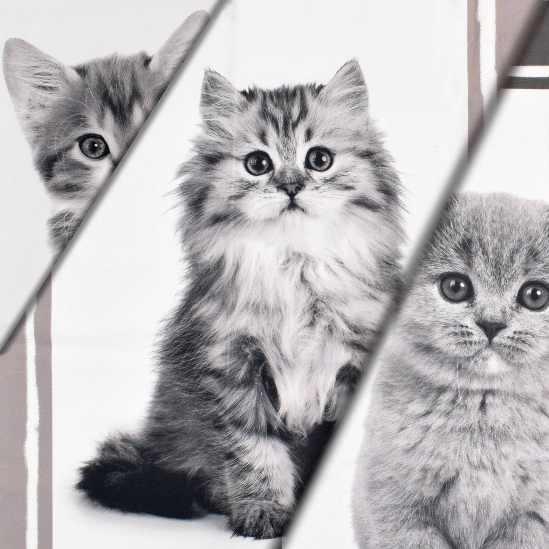 Dekostoff Serge Sweet Cats, 160 x 70 cm von Stoffe Hemmers