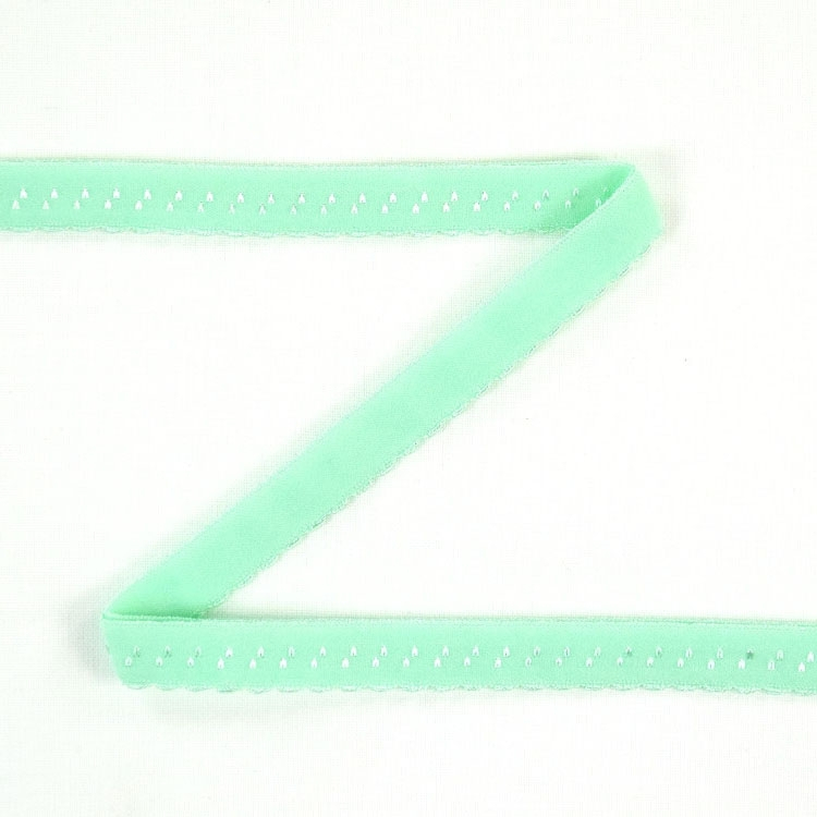 Elastisches Spitzen Einfassband mit Stickerei, mintgrün 12 mm von Stoffe Hemmers