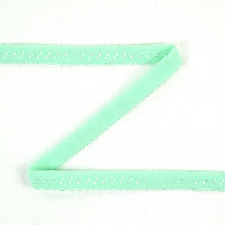 Elastisches Spitzen Einfassband mit Stickerei, mintgrün 12 mm Elastisches Spitzen Einfassband mit Stickerei, mintgrün 12 mm von Stoffe Hemmers