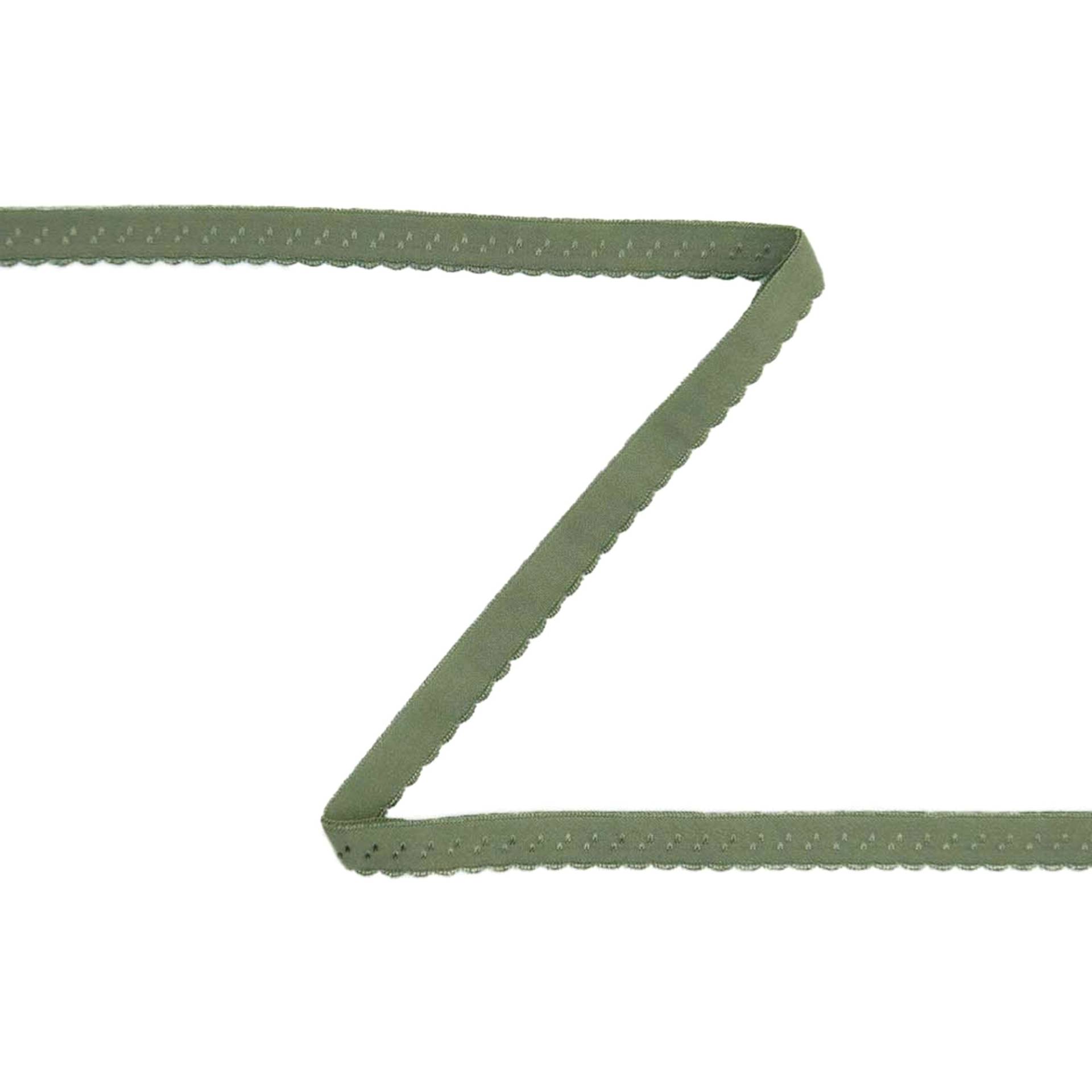 Elastisches Spitzen-Einfassband mit Stickerei altgrün 12 mm Elastisches Spitzen-Einfassband mit Stickerei altgrün 12 mm von Stoffe Hemmers