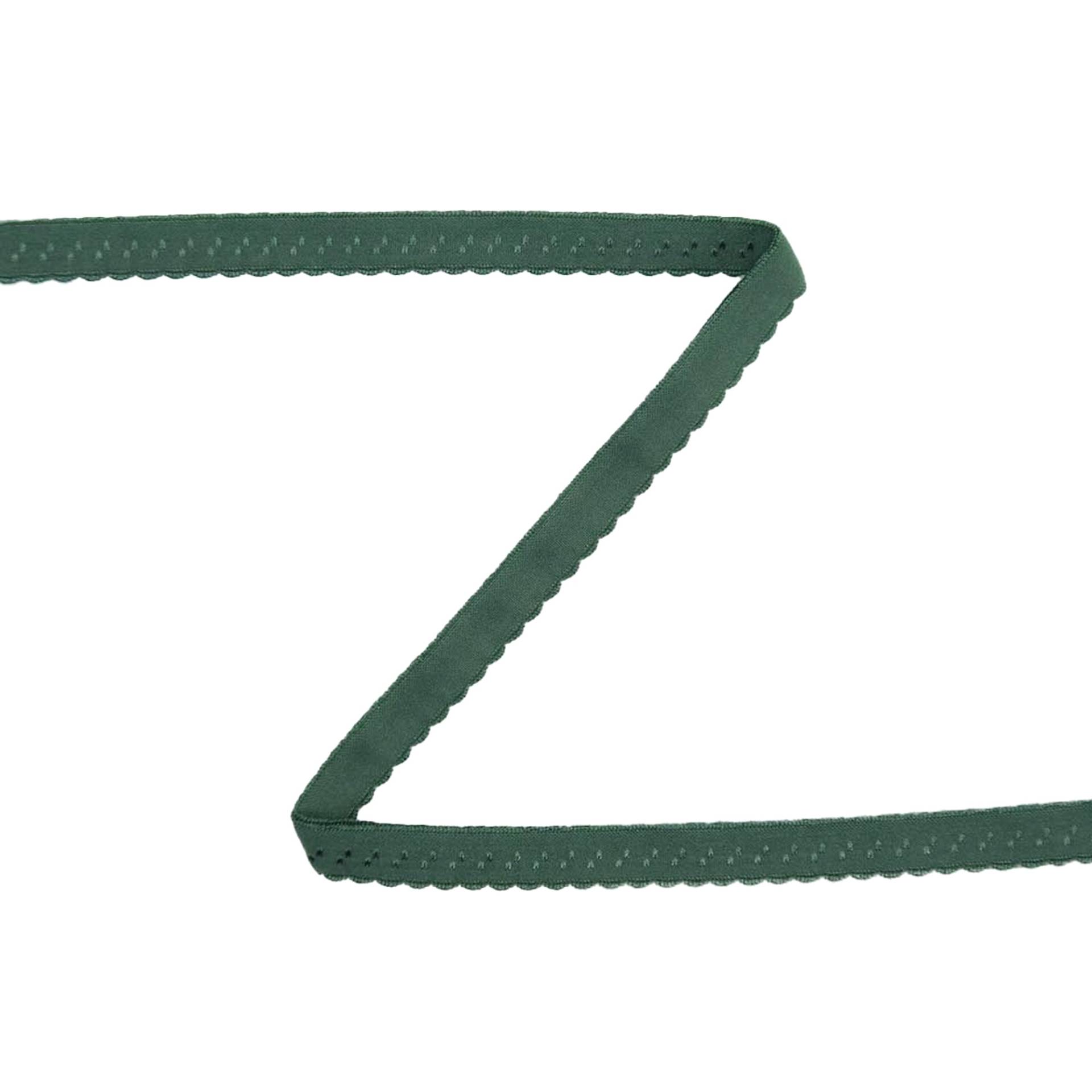 Elastisches Spitzen-Einfassband mit Stickerei mittelgrün 12 mm von Stoffe Hemmers