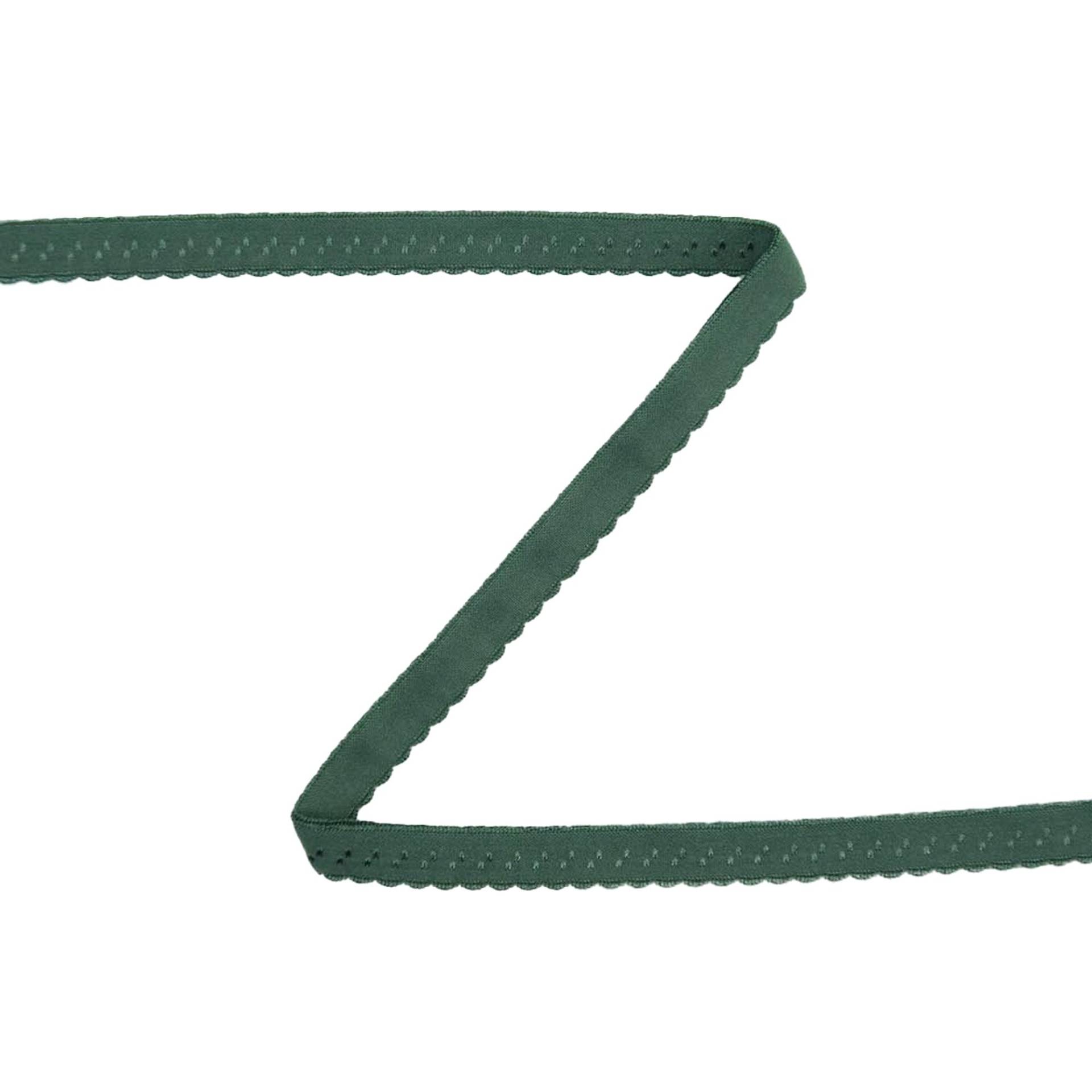 Elastisches Spitzen-Einfassband mit Stickerei mittelgrün 12 mm Elastisches Spitzen-Einfassband mit Stickerei mittelgrün 12 mm von Stoffe Hemmers