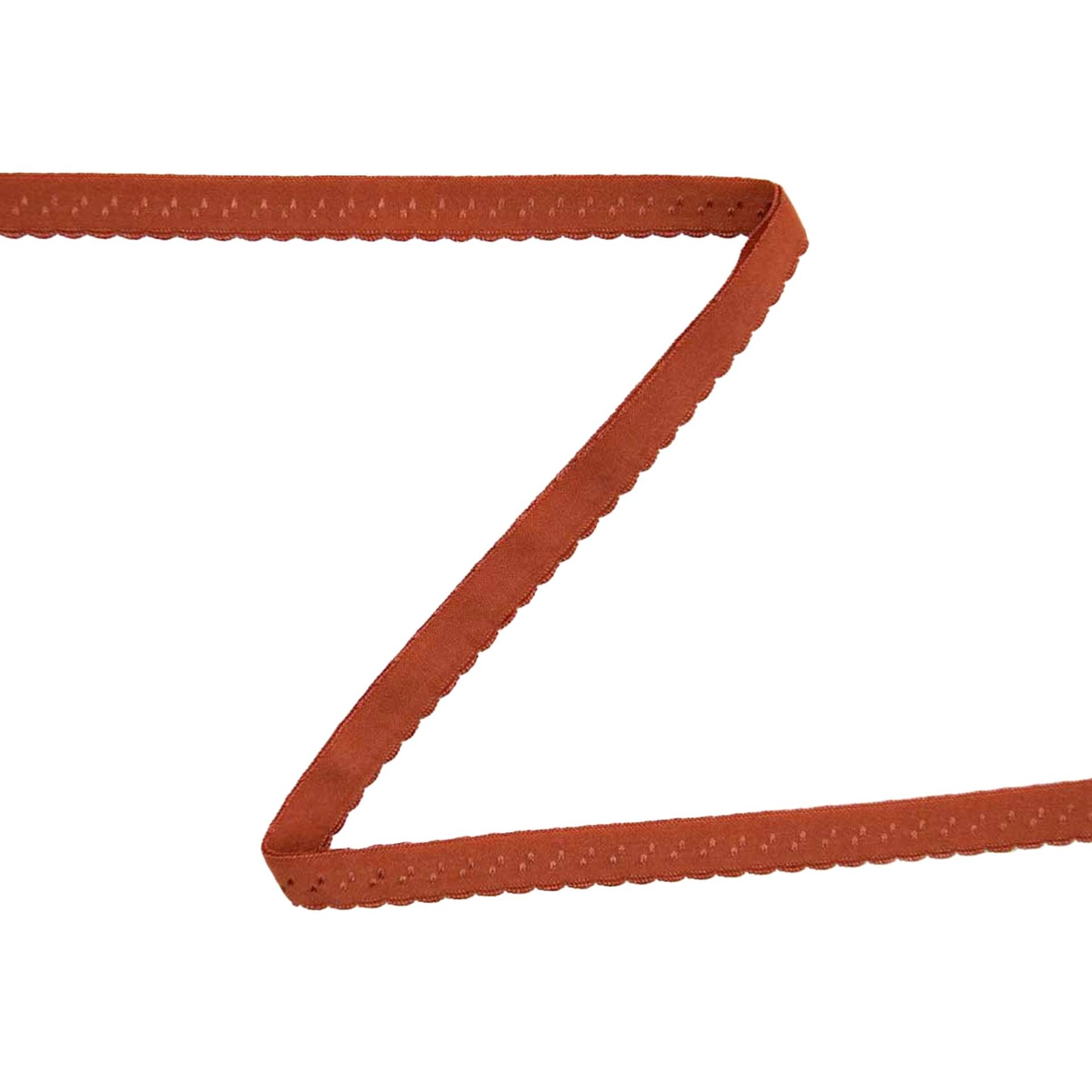 Elastisches Spitzen-Einfassband mit Stickerei rostorange 12 mm von Stoffe Hemmers
