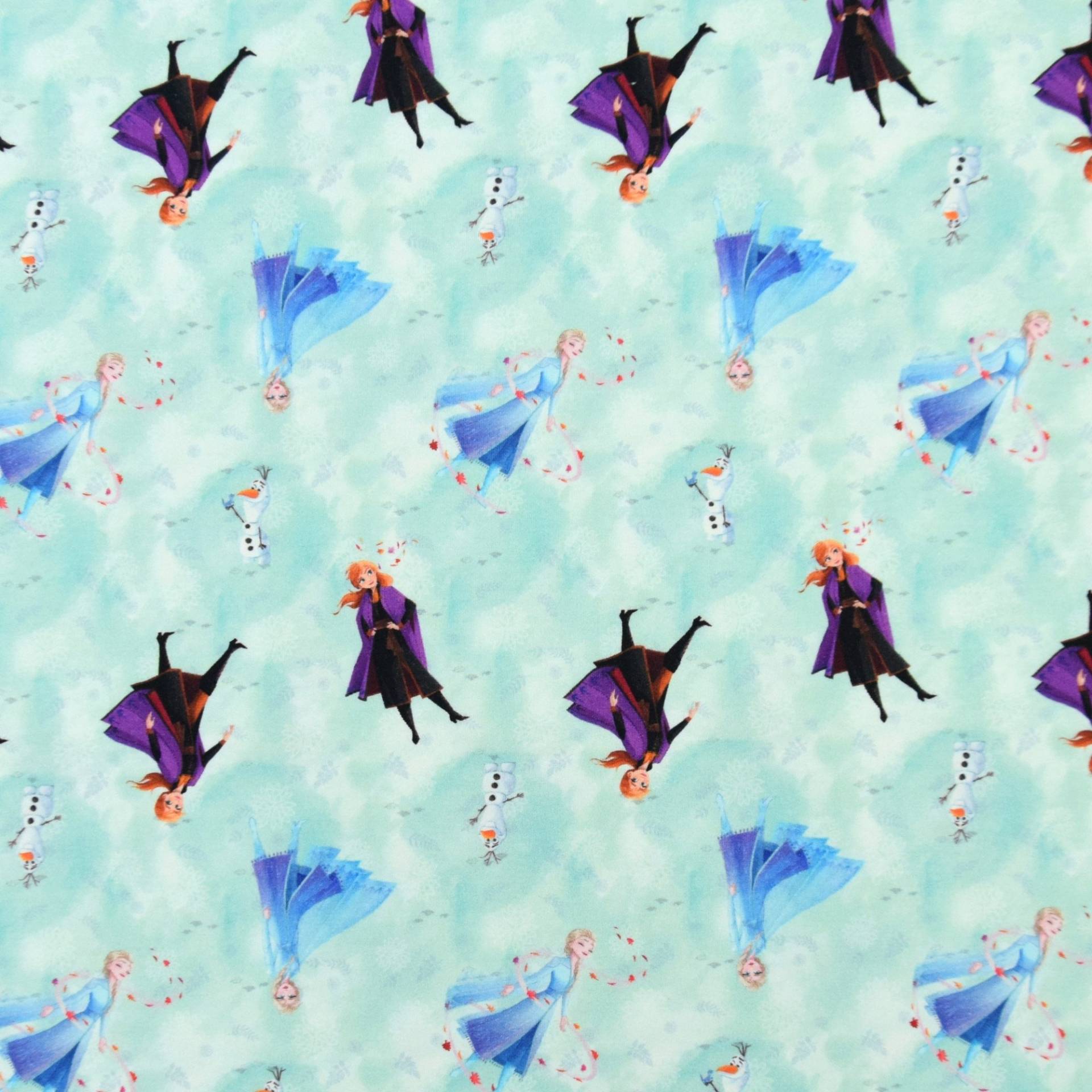 French Terry Frozen 2 Anna & Elsa, mint French Terry Frozen 2 Anna & Elsa, mint von Stoffe Hemmers