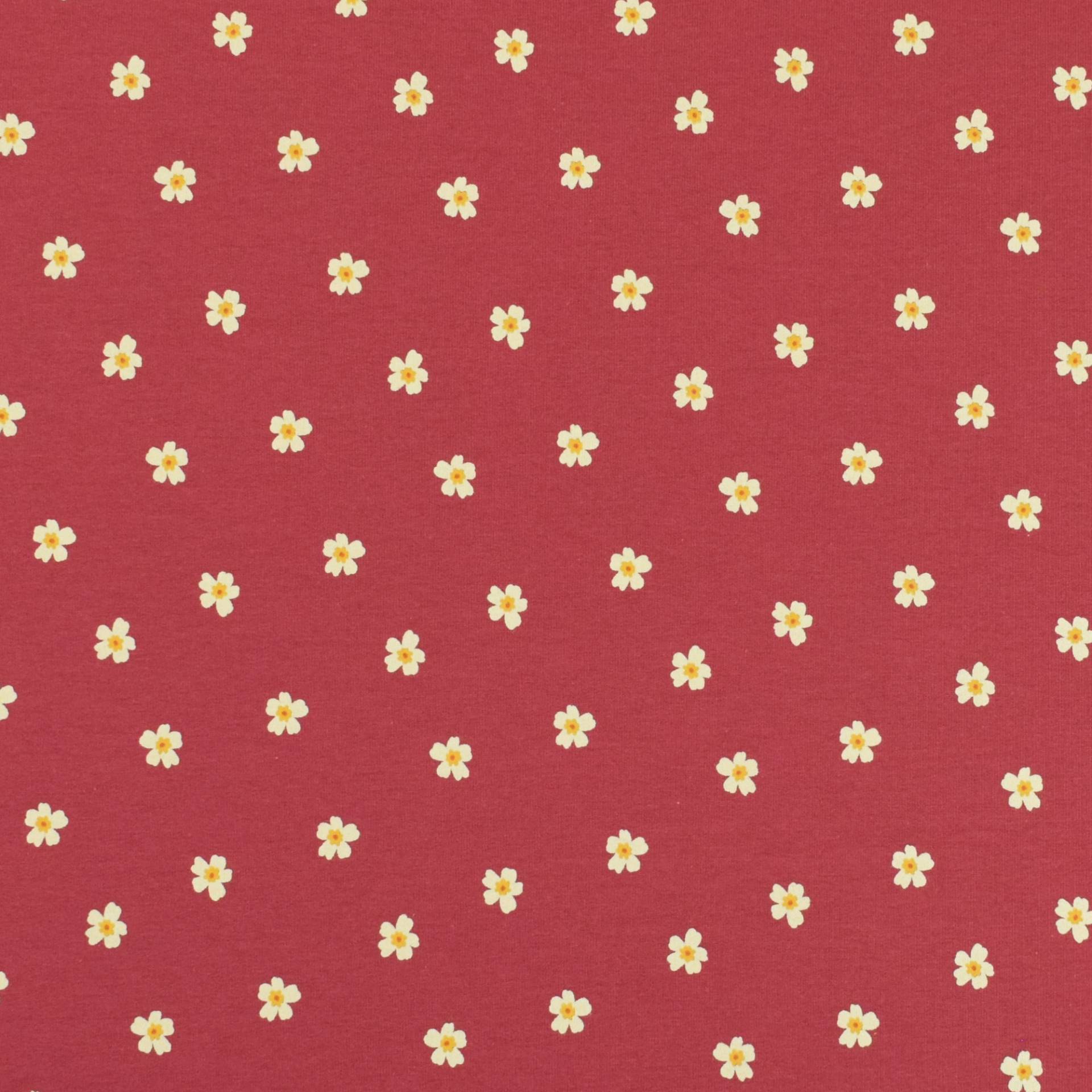 French Terry Little Daisy, bordeaux von Stoffe Hemmers