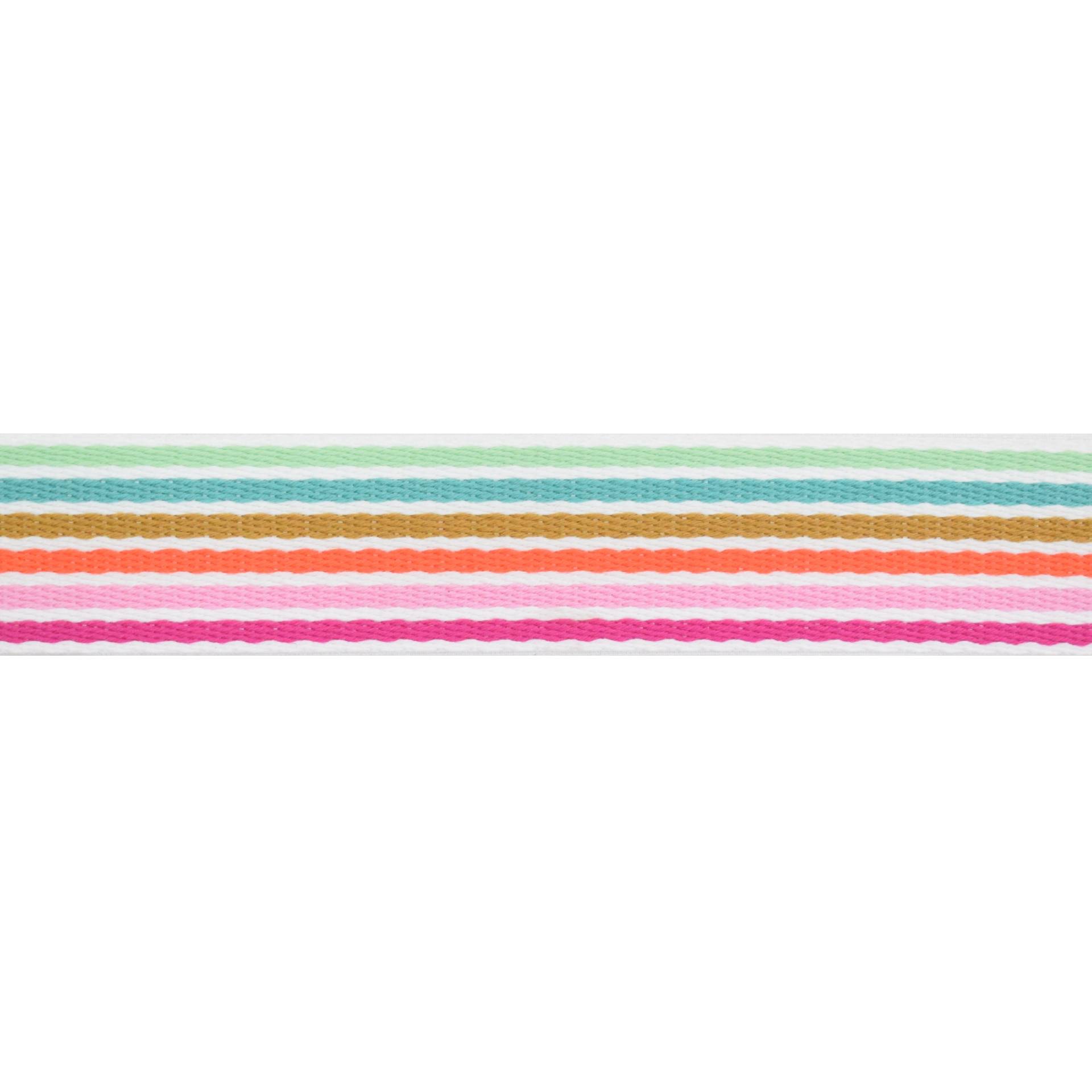 Gurtband Rainbowstripes 38mm, multicolor von Stoffe Hemmers