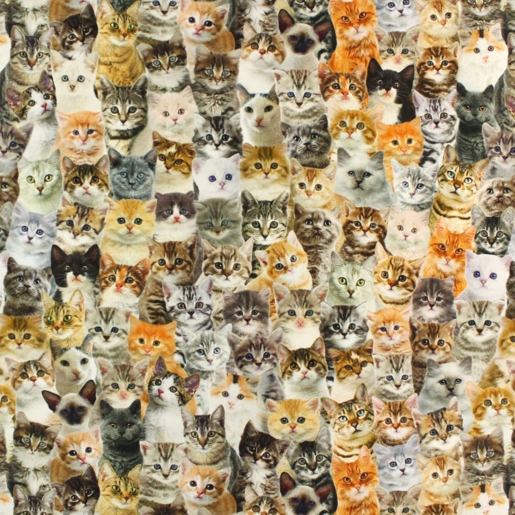 Dekostoff Halbpanama Cute Cats, Digitaldruck von Stoffe Hemmers