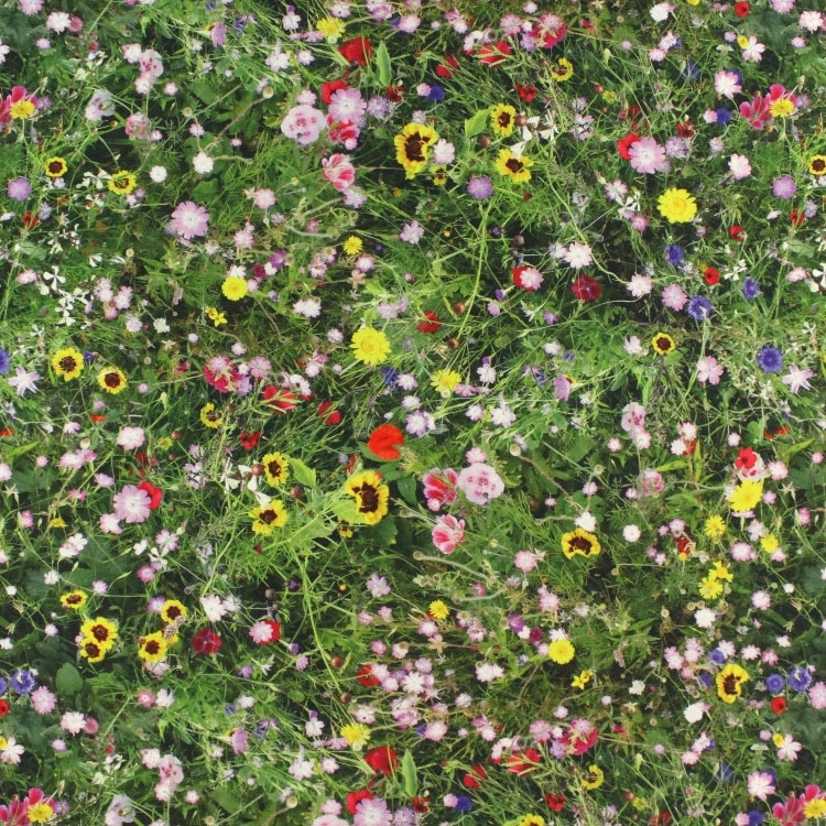 Dekostoff Halbpanama Spring Wildflowers, Digitaldruck von Stoffe Hemmers