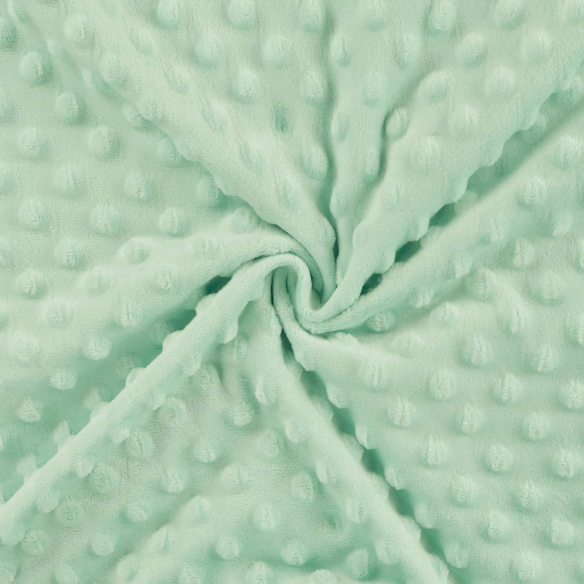 Kuschelfleece Minky Dots, mint Kuschelfleece Minky Dots, mint von Stoffe Hemmers