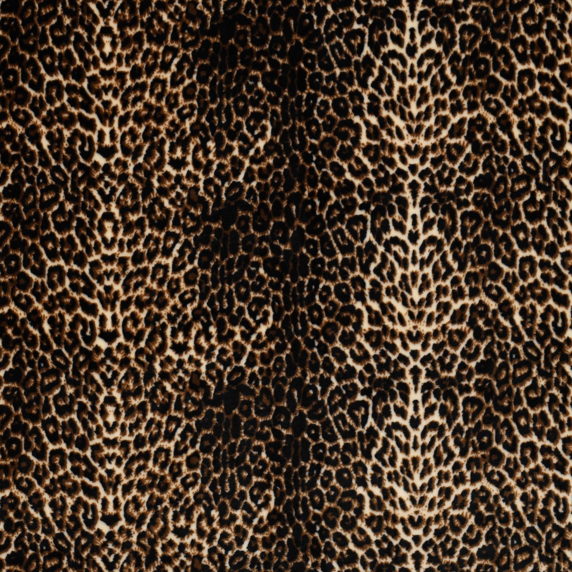 Nicki-Fleece Leo, beige Nicki-Fleece Leo, beige von Stoffe Hemmers