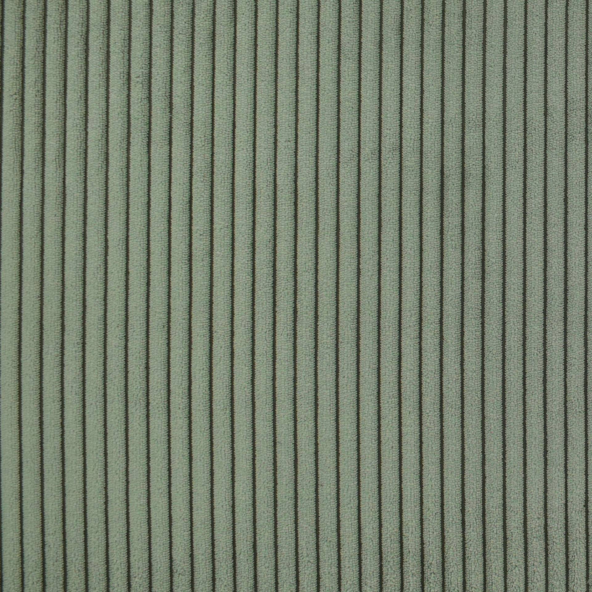 Polsterstoff Breitcord Cozy, blassgrün von Stoffe Hemmers
