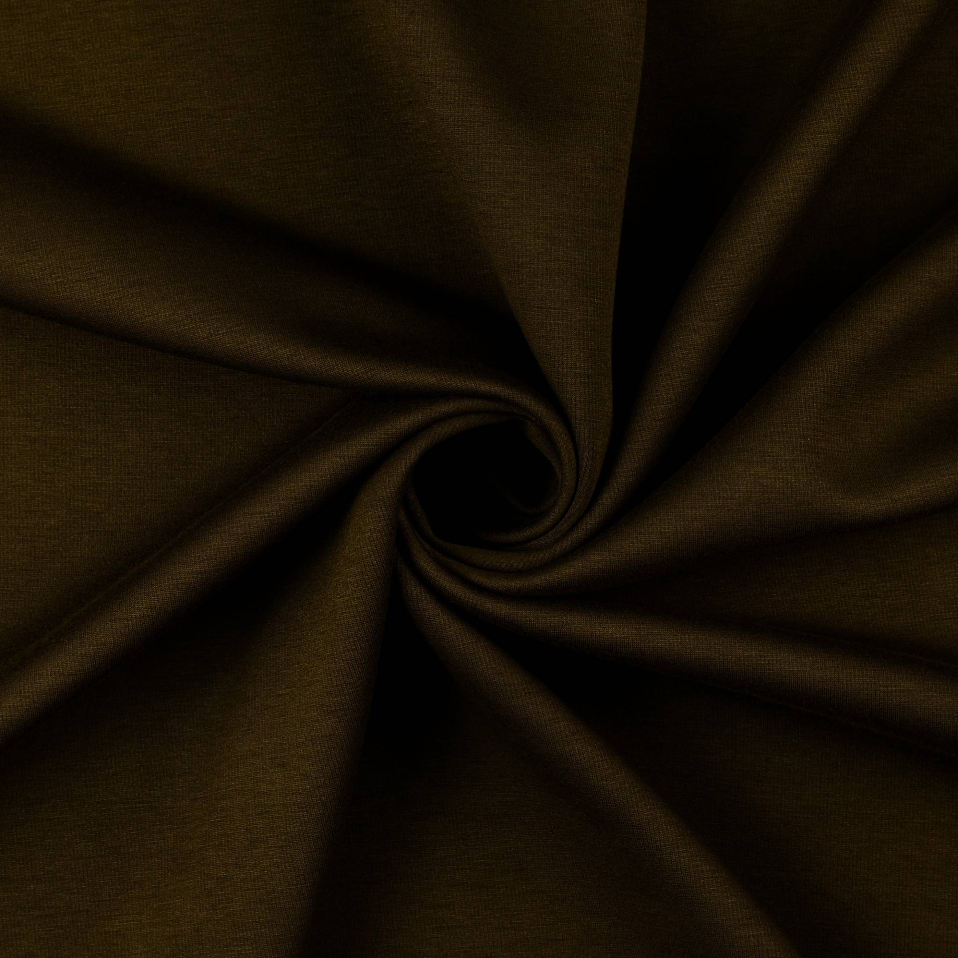 Romanit Jersey Paula, dunkeloliv von Stoffe Hemmers