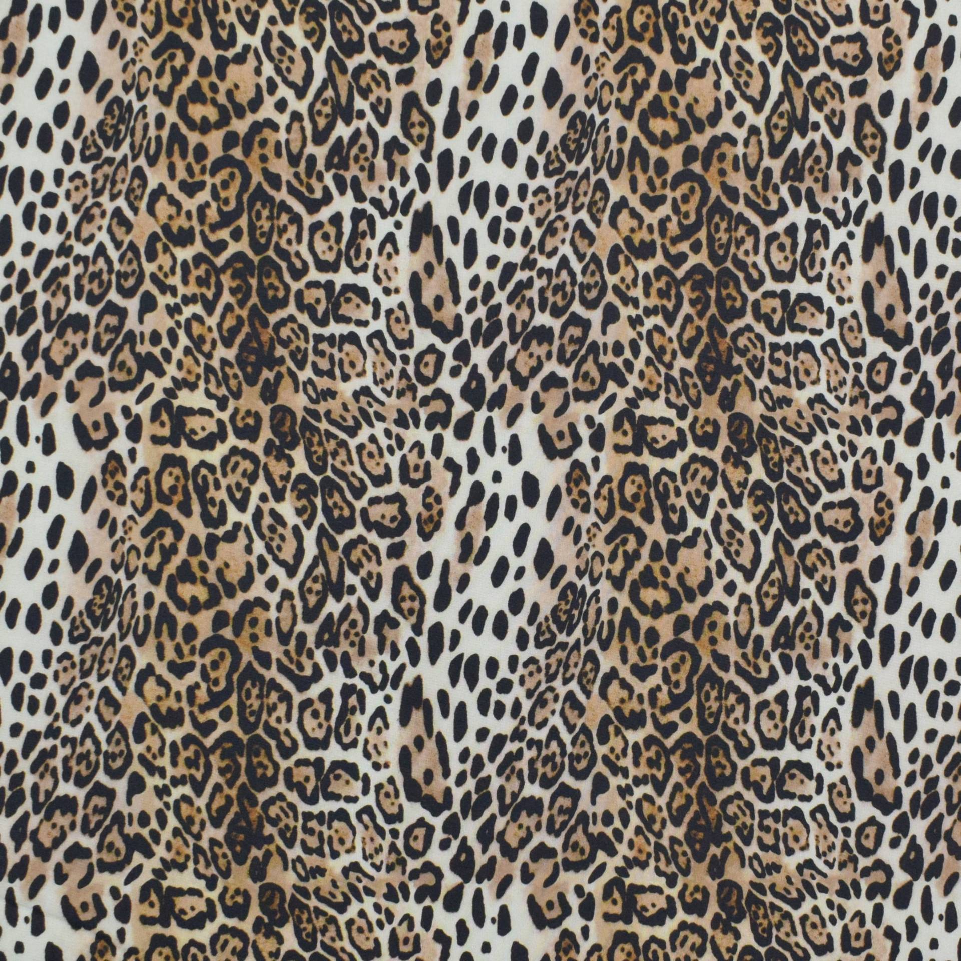 Softshell Leopard, beige Softshell Leopard, beige von Stoffe Hemmers