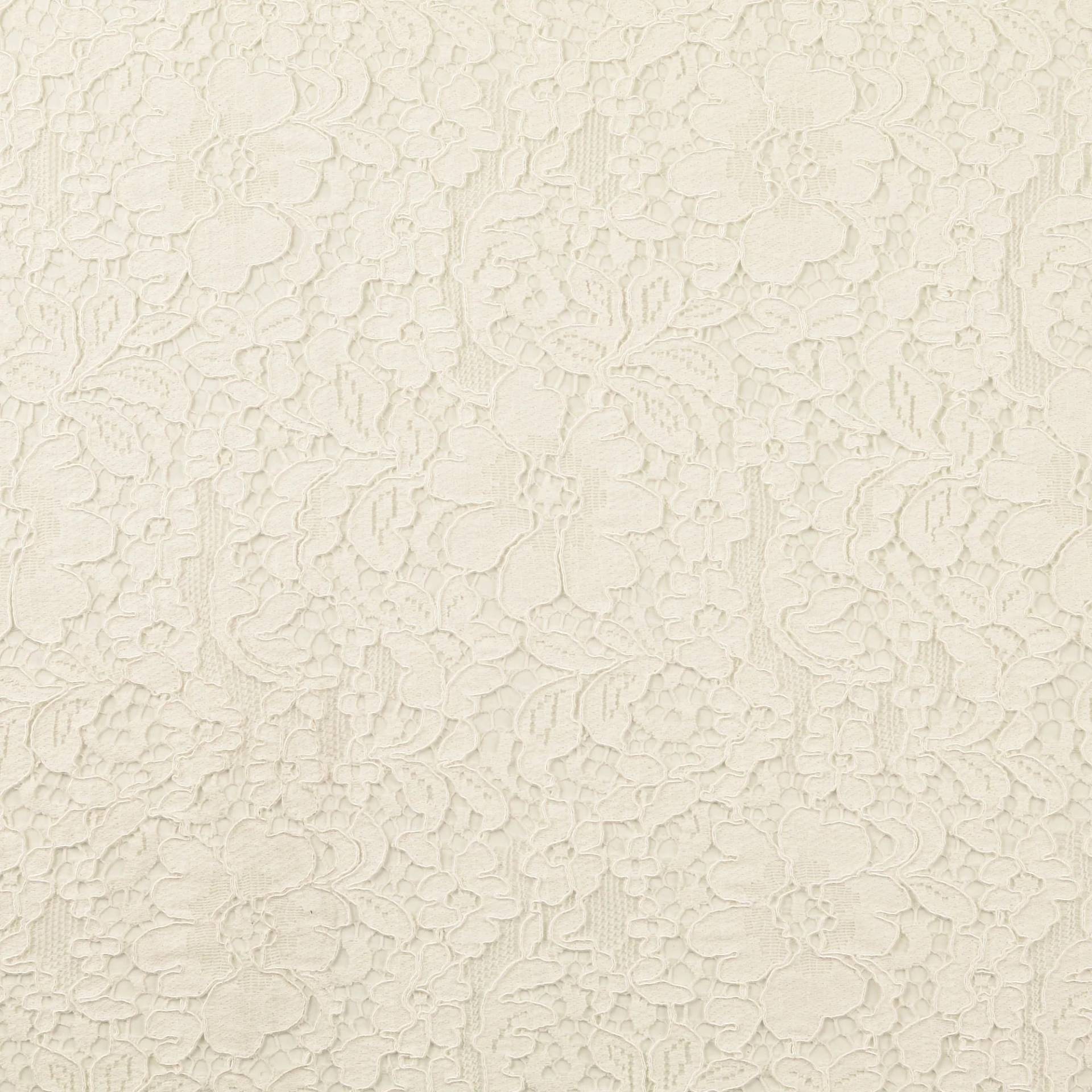 Spitzenstoff mit Bogenkante, wollweiß von Stoffe Hemmers