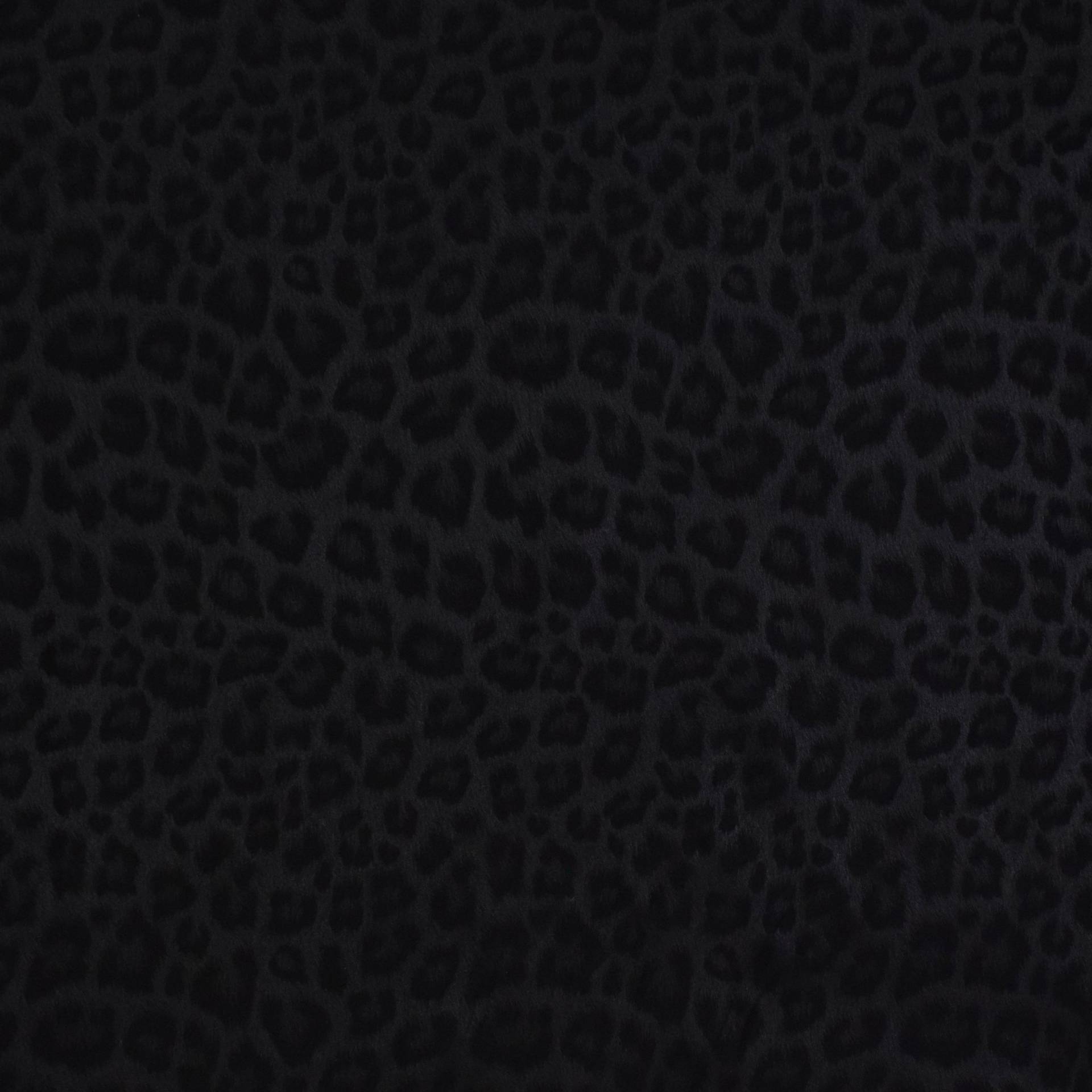 Stretch Wildlederimitat Leo, schwarz von Stoffe Hemmers