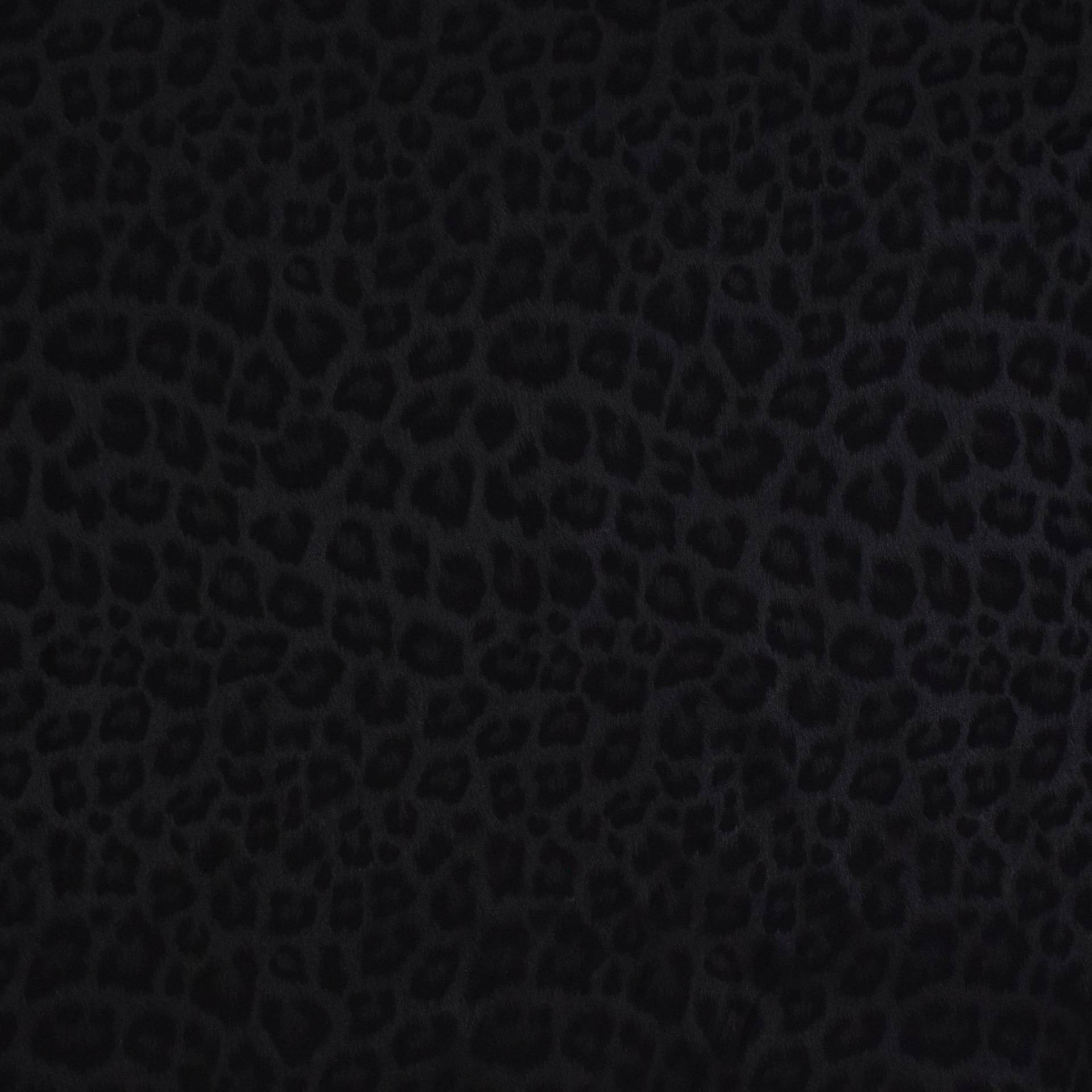 Stretch Wildlederimitat Leo, schwarz von Stoffe Hemmers