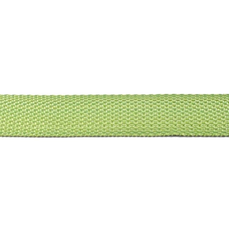 Taschengurtband apfelgrün 25 mm von Stoffe Hemmers