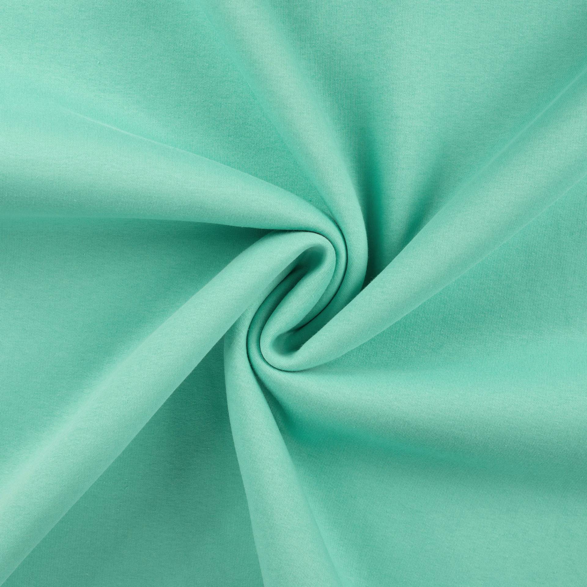 Wintersweat, mint Wintersweat, mint von Stoffe Hemmers
