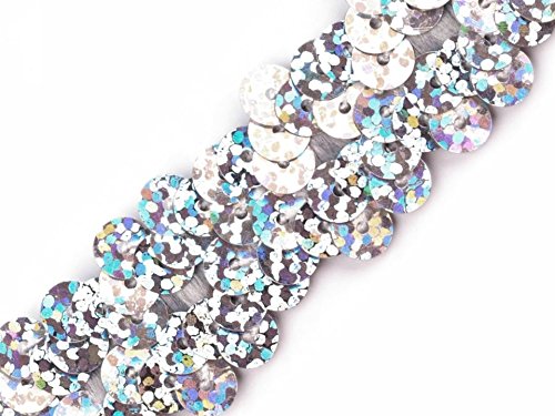 Stoffe-Online-Shop Paillettenborte elastisch, mit Hologramm-Effekt in Silber, Gold, Schwarz, Blau, Türkis und Pink, Breite 20mm, VE: 1,0m (Silber), Ideal für Karnevalskostüme, Faschingskostüme von Stoffe-Online-Shop