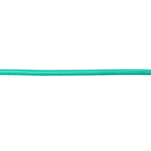 Gummikordeln-5 mm rundlicher Durchmesser-Meterware-50 cm Schritte-30 Farben (Mint-31764) von Stofftreff Santi