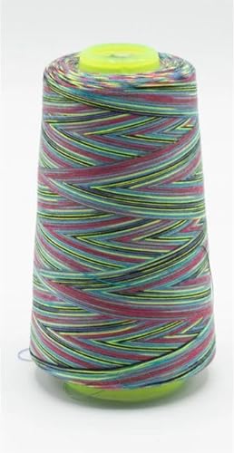 Overlockgarn Multicolor 2700m 100% Polyester Regenbogenfarben Nähgarn Allesnäher (116) von Stofftreff Santi