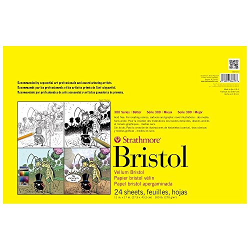 Strathmore 300 Series Bristol, Papier, Pergamentpapier, 11x17 von Strathmore