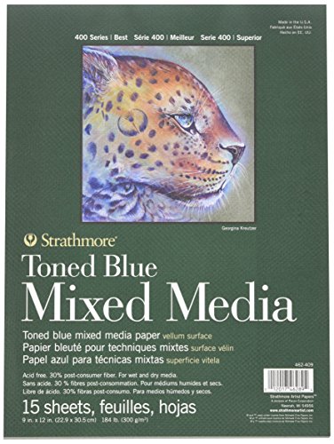 Strathmore (462-409 400 Series Toned Blue Mixed Media Pad, Papier, stahlblau, 9"x12", 15 von Strathmore
