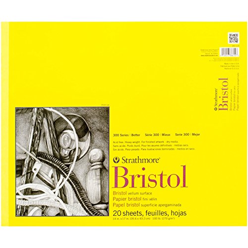 Strathmore Serie 300 Bristol, Papier, Pergamentpapier, 14x17, 20 von Strathmore