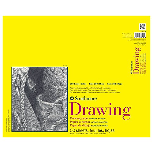 Strathmore 300 Series Zeichenpapierblock, mit Klebstoffbindung, 35,6 x 43,2 cm, 50 Blatt (114 g) – Künstlerpapier für Erwachsene und Studenten – Kohle, Buntstift, Tinte, Pastell, Marker Strathmore 300 Series Zeichenpapierblock, mit Klebstoffbindung, 35,6 x 43,2 cm, 50 Blatt (114 g) – Künstlerpapier für Erwachsene und Studenten – Kohle, Buntstift, Tinte, Pastell, Marker von Strathmore
