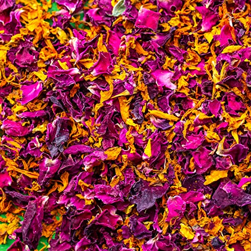 'Indischer Sommer' Deep Burgunderrot Rose & Orange Ringelblume Hochzeitskonfetti Öko biologisch abbaubare natürliche Blütenblätter 1 Liter (326) von Stripey Finds