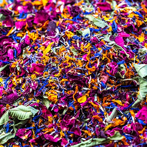 Natürliches Blütenblatt Hochzeit Konfetti - 'Karibiktraum' - 10 Liter - Lila Rose, Orange Ringelblume, Blau Kornblume, Zitronenverbena - Geeignet für 100-120 Gäste (328) von Stripey Finds