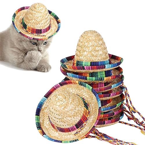 9 Stück Sombrero Partyhüte, Fiesta Mexikanischer Hut Aus Naturstroh, Partydekorationen, Kostümhüte Für Kinder, Puppen, Haustiere 9 Stück Sombrero Partyhüte, Fiesta Mexikanischer Hut Aus Naturstroh, Partydekorationen, Kostümhüte Für Kinder, Puppen, Haustiere von Stronrive