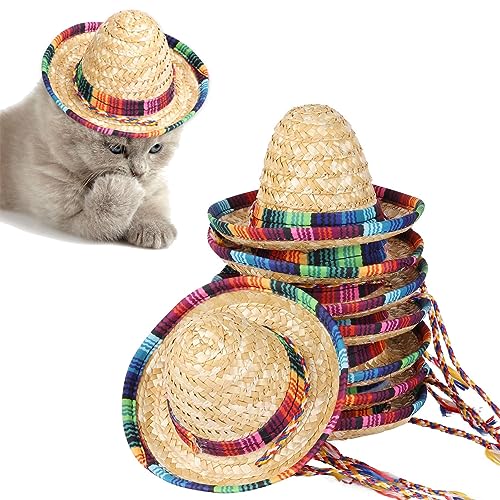 9 Stück Mini Sombrero Partyhüte, Fiesta Mexikanischer Hut Aus Naturstroh, Partydekorationen, Kostümhüte Für Kinder, Puppen, Haustiere von Stronrive