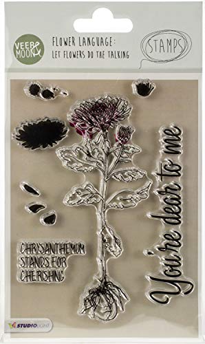 Veer & Moon - Transparenter Stempel - 10,5 x 15cm - Erstelle wunderschöne Karten oder andere kreative Projekte von Studio Light