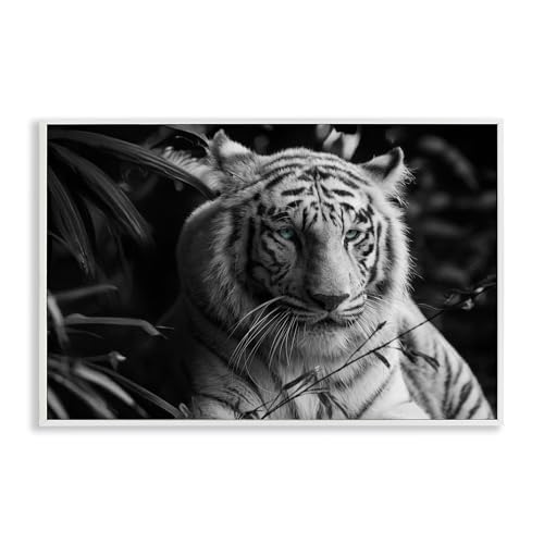 Stupell Industries Annabelle Hall Tiger Among Jungle Plants Giclée-Kunst, gerahmt, 45,7 x 30,5 cm, Weiß Stupell Industries Annabelle Hall Tiger Among Jungle Plants Giclée-Kunst, gerahmt, 45,7 x 30,5 cm, Weiß von Stupell Industries
