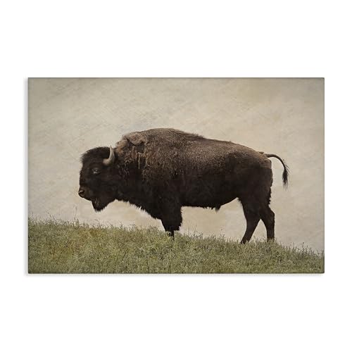 Stupell Industries Kunstdruck auf Leinwand, Motiv Serene Buffalo on Country Hill, Design von Steve Toole, 61 x 40 cm Stupell Industries Kunstdruck auf Leinwand, Motiv Serene Buffalo on Country Hill, Design von Steve Toole, 61 x 40 cm von Stupell Industries