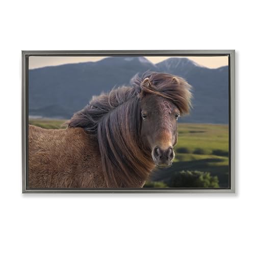 Stupell Industries Kunstdruck auf Leinwand, Motiv Windblown Mare in Mountain Valley, gerahmt, Design von Steve Toole, 63 x 43 cm, Grau Stupell Industries Kunstdruck auf Leinwand, Motiv Windblown Mare in Mountain Valley, gerahmt, Design von Steve Toole, 63 x 43 cm, Grau von Stupell Industries
